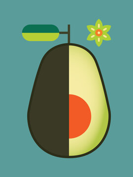 Minimal flat vector illustration of a stylized avocado half with geometric color blocks and pit, creating a playful contemporary healthy-food graphic.