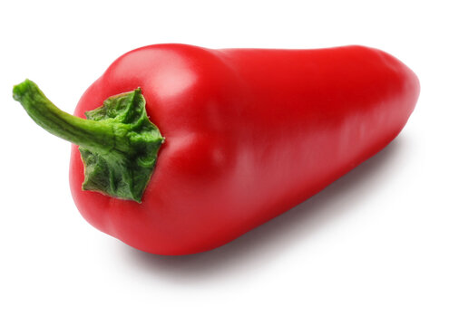 One red jalapeno pepper isolated on white
