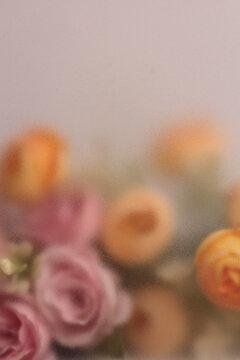 Smoke selected soft focus cream beige pink, yellow Rose Flower through translucent matte frosted glass. Abstract natural blurred grain light fog background.