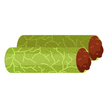 Meat dolma arabic food illustration