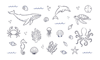 Obraz premium Hand Drawn Ocean Animals and Marine Elements Collection.