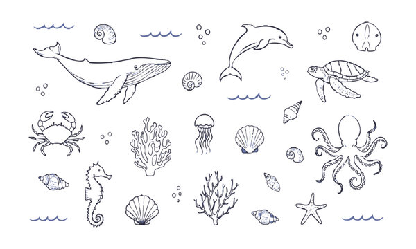 Hand Drawn Ocean Animals and Marine Elements Collection.