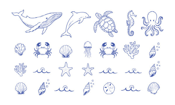 Marine Life Seashell Coral and Ocean Animal Set.