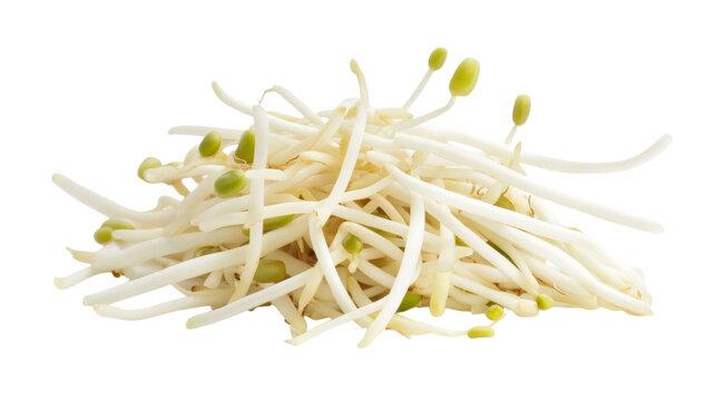 Fresh raw mung bean sprouts piled together isolated on a black background, healthy organic vegetable ingredient for asian cuisine dishes