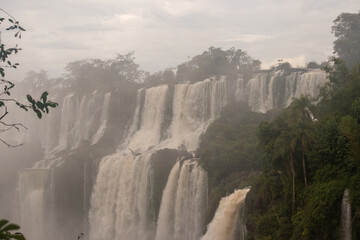 Multiple cascades of Iguazu Falls rising through mist and dense Atlantic Forest in South America © TC2412