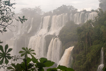 Multiple cascades of Iguazu Falls rising through mist and dense Atlantic Forest in South America © TC2412
