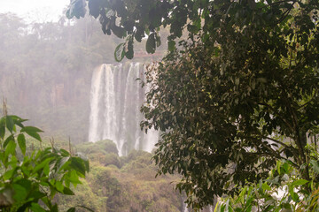 Multiple cascades of Iguazu Falls rising through mist and dense Atlantic Forest in South America © TC2412