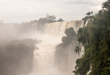 Multiple cascades of Iguazu Falls rising through mist and dense Atlantic Forest in South America © TC2412