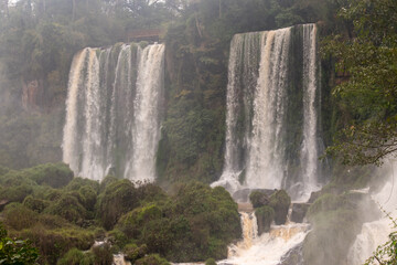 Multiple cascades of Iguazu Falls rising through mist and dense Atlantic Forest in South America © TC2412