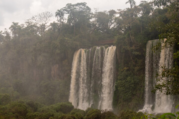 Multiple cascades of Iguazu Falls rising through mist and dense Atlantic Forest in South America © TC2412