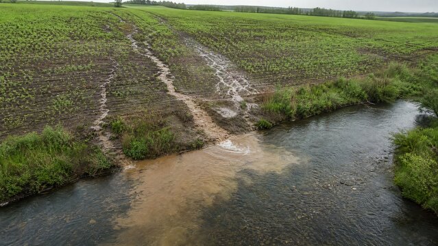 Agricultural Topsoil Erosion and Sediment Runoff Entering Freshwater Stream After Heavy Rainfall