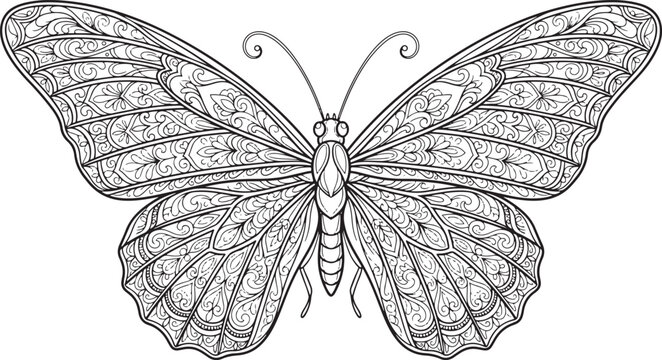 Intricate Butterfly Illustration Detailed Wing Patterns On White Background