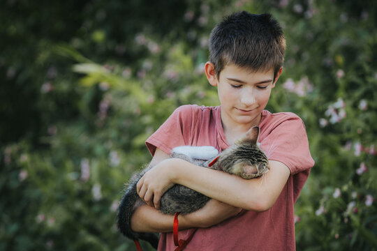 Young boy holding a sleeping tabby cat in his arms, surrounded by greenery and flowers in a natural outdoor setting during daylight