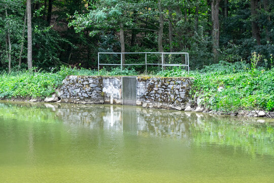 Small dam on a pond in nature