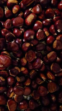 Delicious sweet edible chestnuts ready for roasting. A background of healthy organic autumn nuts harvested and piled on a newspaper