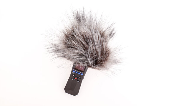Portable audio recorder with fuzzy windjammer for clear sound recording