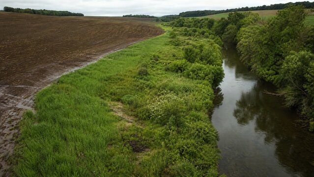 Vegetated Riparian Buffer Reducing Agricultural Runoff and Protecting Freshwater Stream Quality