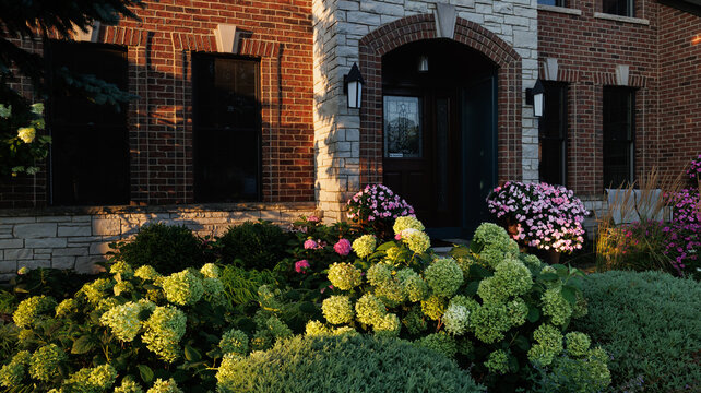 Lush late summer garden frames a beautiful brick and limestone house with green Incrediball hydrangea blooms, pink impatiens, sculpted shrubs and layered foliage glowing in warm golden sunlight.