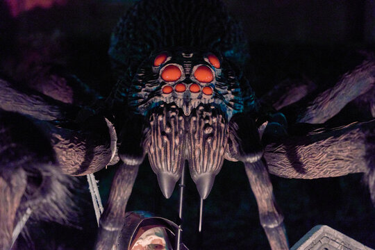 Detailed view of a large spider's fangs and clustered red eyes in dramatic night light. Creepy Halloween prop with hairy legs, dark texture, and eerie shadows.