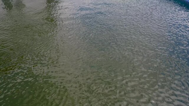 The water in the pool is dirty. Selective focus.