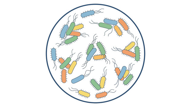 Microscopic bacteria colonies inside a petri dish illustration.