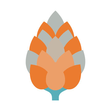 Stylized hop cone illustration