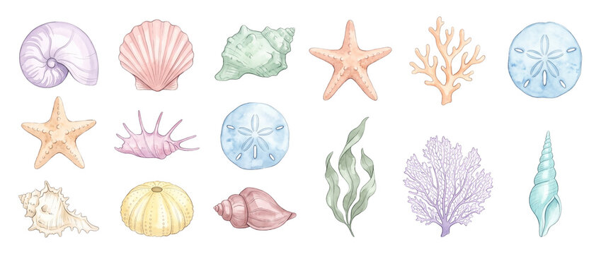 Seashell watercolor illustration clip art set featuring pastel starfish coral sand dollar sea urchin seaweed conch nautilus shell elements isolated on black background for summer marine craft decor