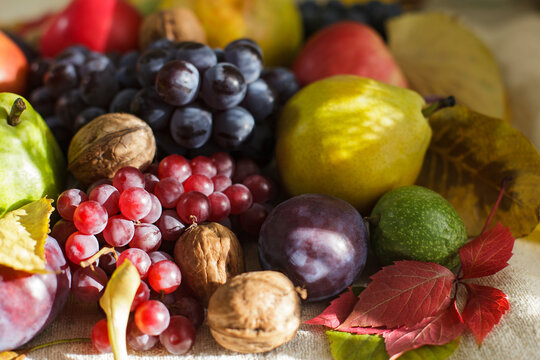 Autumn harvest still life with fresh grapes pears plums and walnuts