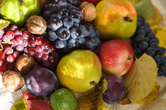 Autumn harvest still life top view with dark red grapes pears apples and walnuts