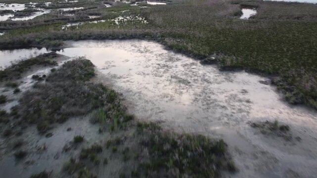Aerial View of Lio Piccolo Marshlands in the Venice Lagoon