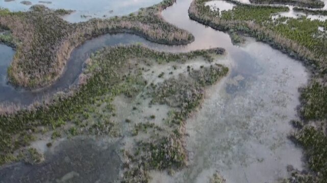 Aerial View of Lio Piccolo Marshlands in the Venice Lagoon