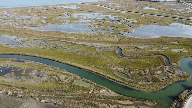 Aerial View of Lio Piccolo Marshlands in the Venice Lagoon