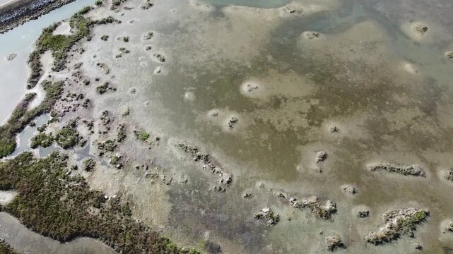 Aerial View of Lio Piccolo Marshlands in the Venice Lagoon