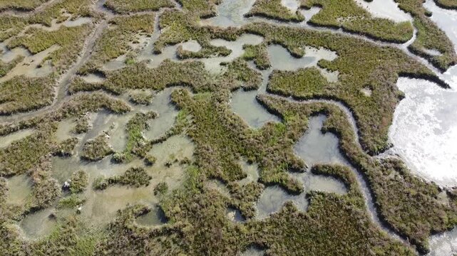 Aerial View of Lio Piccolo Marshlands in the Venice Lagoon