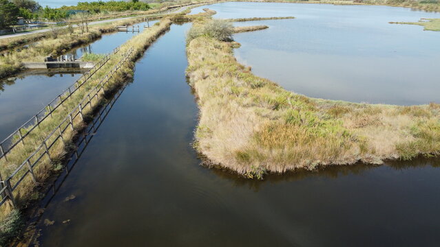 Aerial View of Lio Piccolo Marshlands in the Venice Lagoon