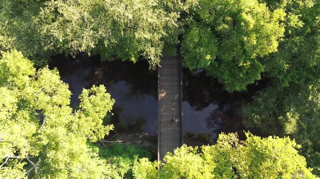 Overhead shot of the walking trails along the Raleigh greenway
