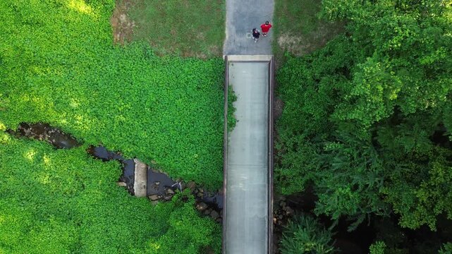 Overhead shot of the walking trails along the Raleigh greenway
