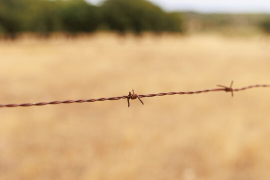 Close-up of rusty barbed wire stretching across a dry rural landscape, with a shallow depth of field and soft golden fields and trees blurred in the background. The image conveys themes of rural