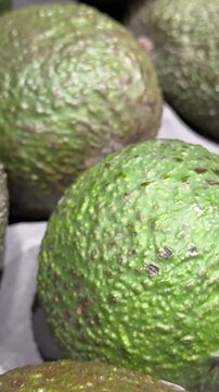 Large ripe avocado fruits arranged for retail sale create an attractive supermarket display of nutritious tropical produce for healthy meals, salads and everyday cooking. Close up.