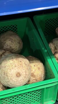 Fresh celery root neatly arranged in green plastic crates on a lower supermarket shelf offers healthy root vegetables for grocery stores, fresh produce displays and everyday shopping. Close up.