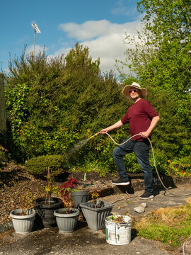 Gardener waters vibrant orange marigolds under sunny skies. Man in hat smiles as he tends to lush greenery. Ideal for gardening, summer, or wellness themes. Path leads through thriving plants