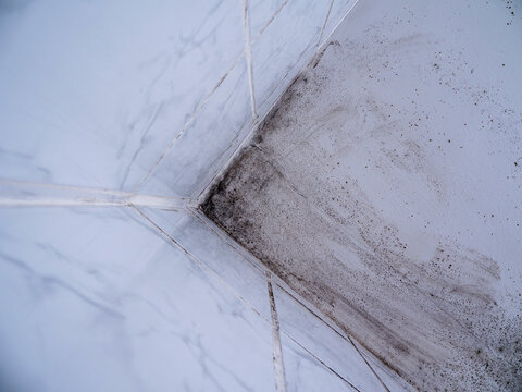 Corner of dirty, moldy ceiling meets white tiled walls. Dark spots show moisture damage and decay. Walls have visible grout lines and fading paint. Image captures neglected, damp interior condition