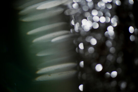 Abstract bokeh pattern with blurred light streaks. Circular shape centers glowing highlights. Suggests motion, mystery, or creative energy. Perfect for backgrounds, tech themes, or artistic projects
