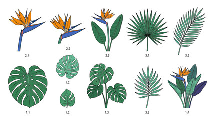 Naklejka premium Tropical Plants and Flowers Collection Isolated
