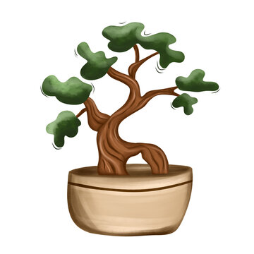 Miniature bonsai tree in a ceramic pot vector illustration for zen and Japanese culture concept