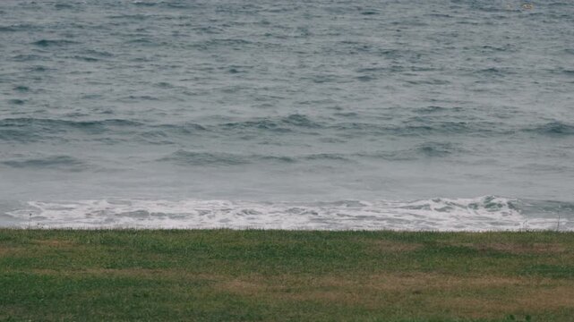A grassy open space with a beach where waves are washing ashore in the background
