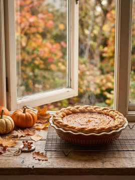 Freshly baked pumpkin pie cooling for Thanksgiving dinner on wire rack on rustic wooden windowsill with autumn trees foliage in open window background. Family autumn celebration concept, copy-space.
