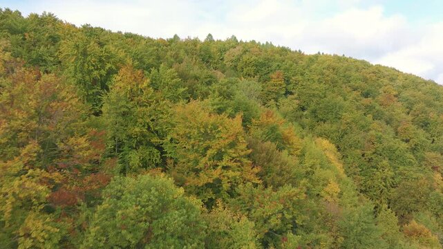 AERIAL: Forested hill covered in green and yellow autumn foliage. Clouds and pale blue sky frame the rolling woodland landscape in vibrant shades during the seasonal transition at the end of summer.