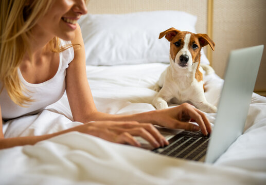 Working With Pet Dog.