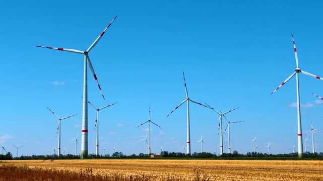Wind turbines in a field on a clear day. Wind turbines stand tall in a yellow field under a blue sky. The scene shows a renewable energy farm with many turbines.
